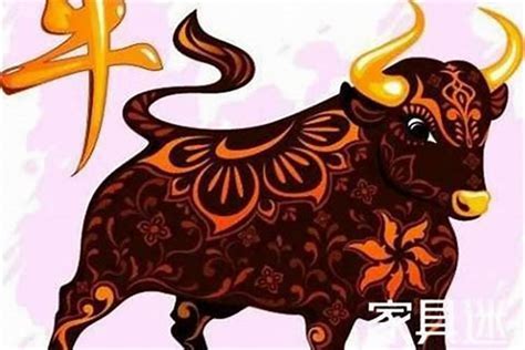 牛年出生|属牛有哪些年份 生肖牛年是哪几年